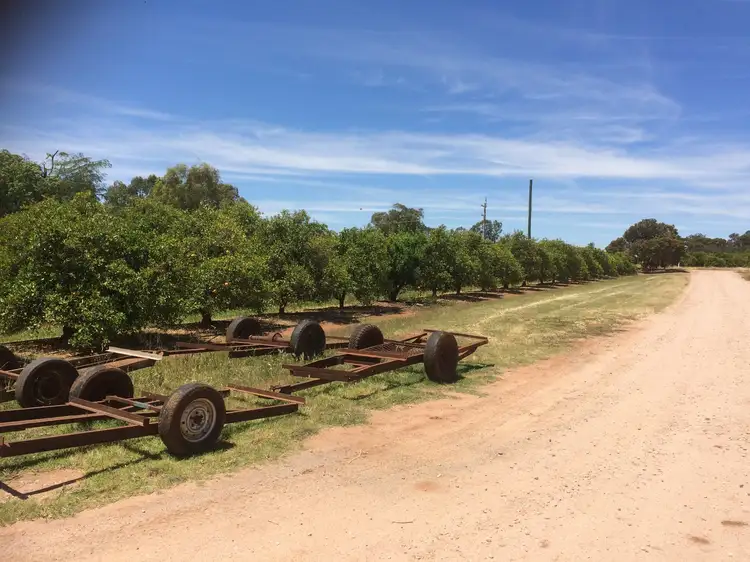 Third view of Homely rural property listing, Farm 1185/291 Stringer Road, Leeton NSW 2705