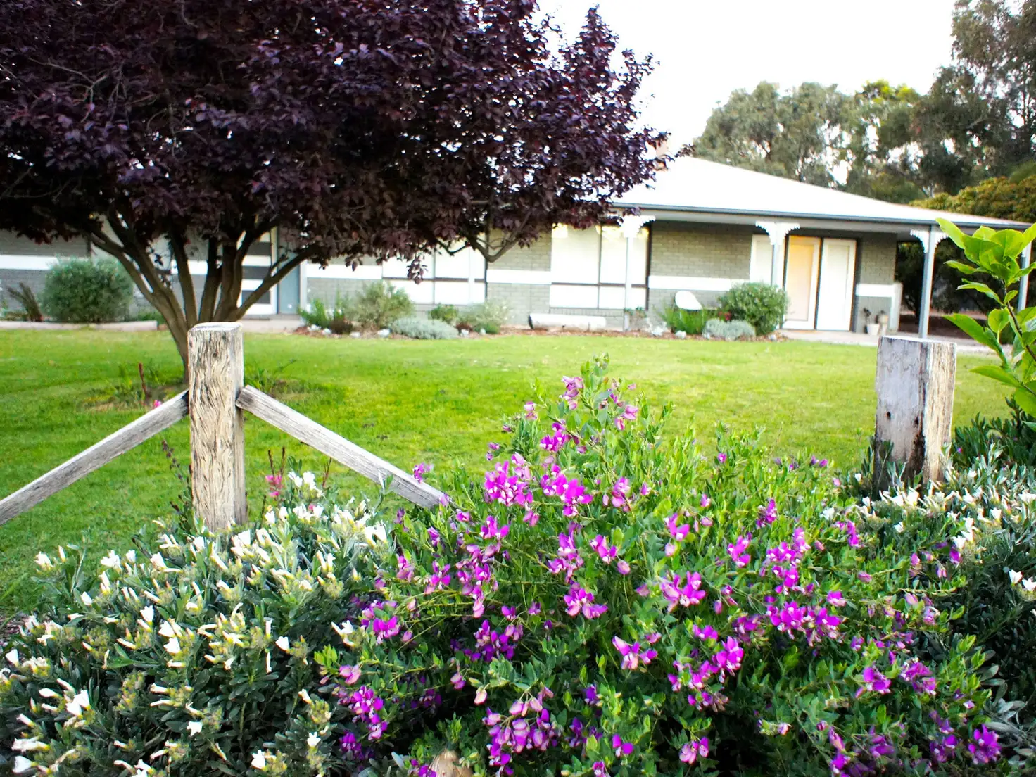 Main view of Homely rural property listing, 30 Pine View Drive, Tocumwal NSW 2714