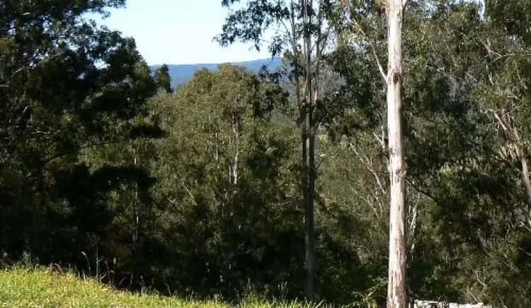 Seventh view of Homely land listing, 6 Lilly Pilly Rise, Eumundi QLD 4562