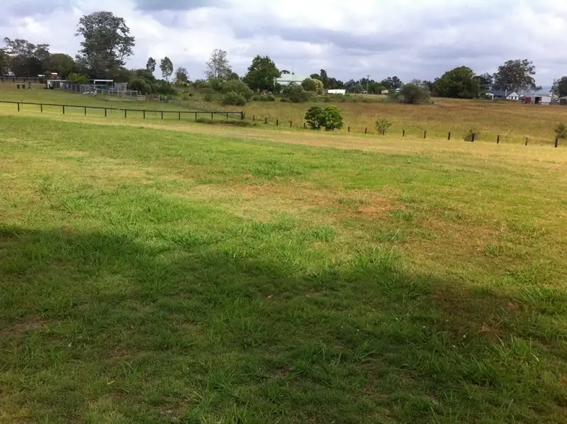 Main view of Homely land listing, 9 Shiraz Close, Hinton NSW 2321