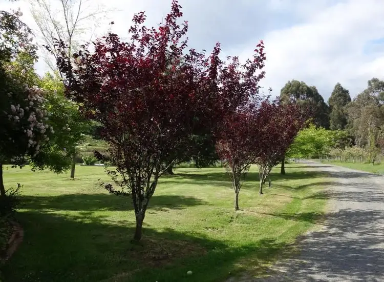 Sixth view of Homely house listing, 66 Tabors Rd, Margate TAS 7054
