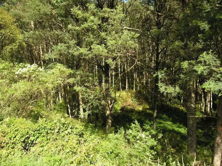 Fourth view of Homely land listing, Lot 1 Huon Highway, Surges Bay TAS 7116