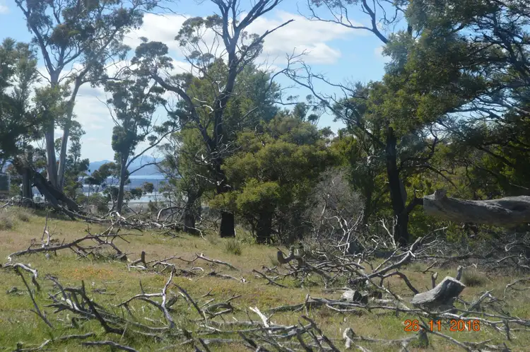 Sixth view of Homely land listing, 287 George Street, Dulcot TAS 7025