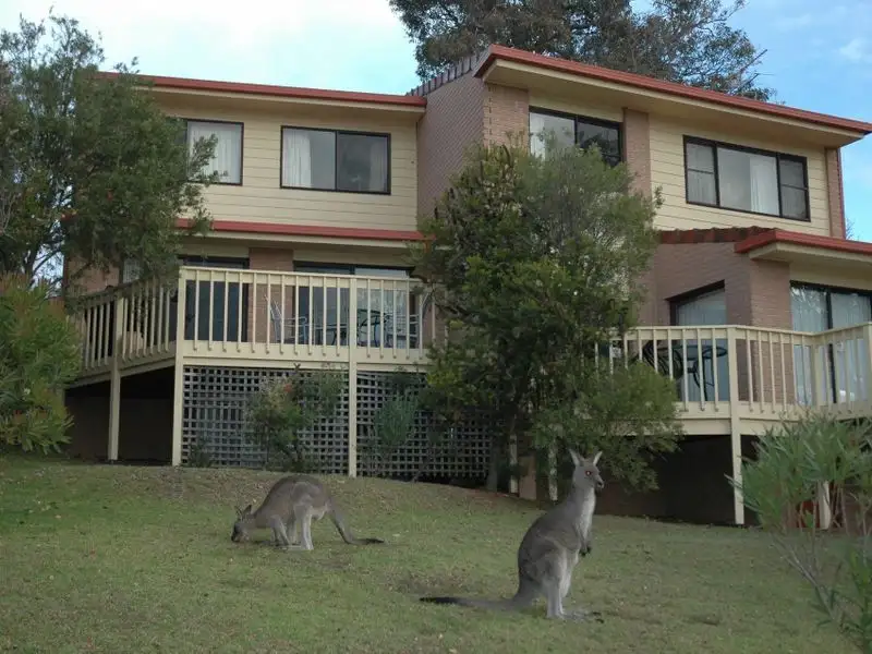 Main view of Homely semi-detached listing, 2/5 Winnunga Street, Pambula Beach NSW 2549