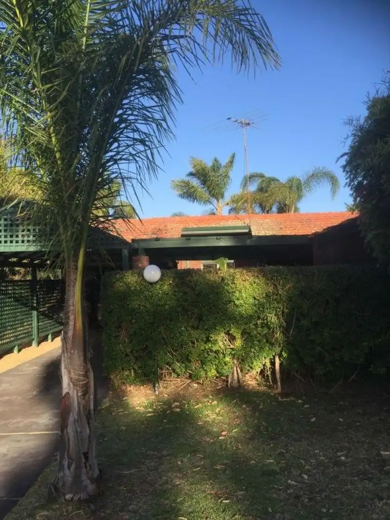 Main view of Homely house listing, 44 Everingham Street, Carine WA 6020