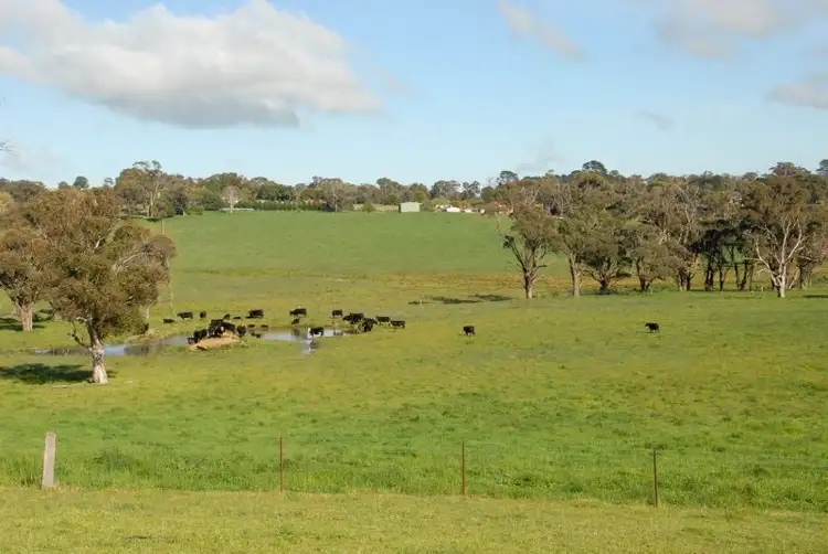 Main view of Homely land listing, 15 Lynch Street, Neville NSW 2799