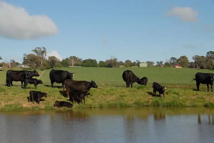Second view of Homely land listing, 15 Lynch Street, Neville NSW 2799