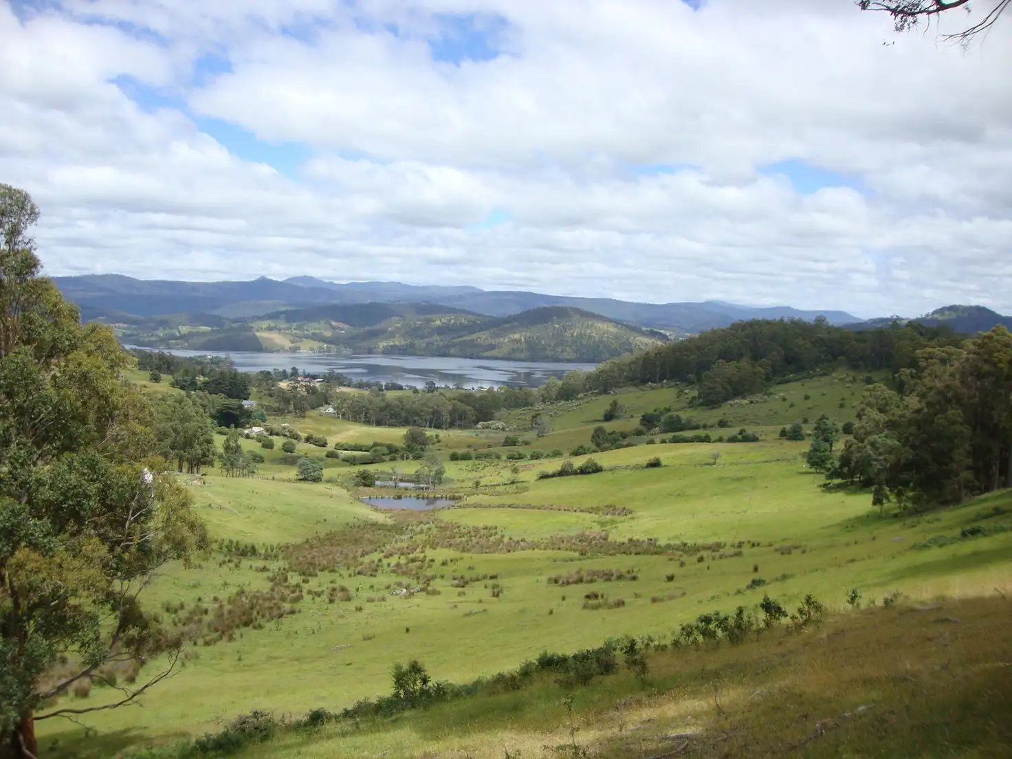 Main view of Homely land listing, 514 Wattle Grove Road, Wattle Grove TAS 7109