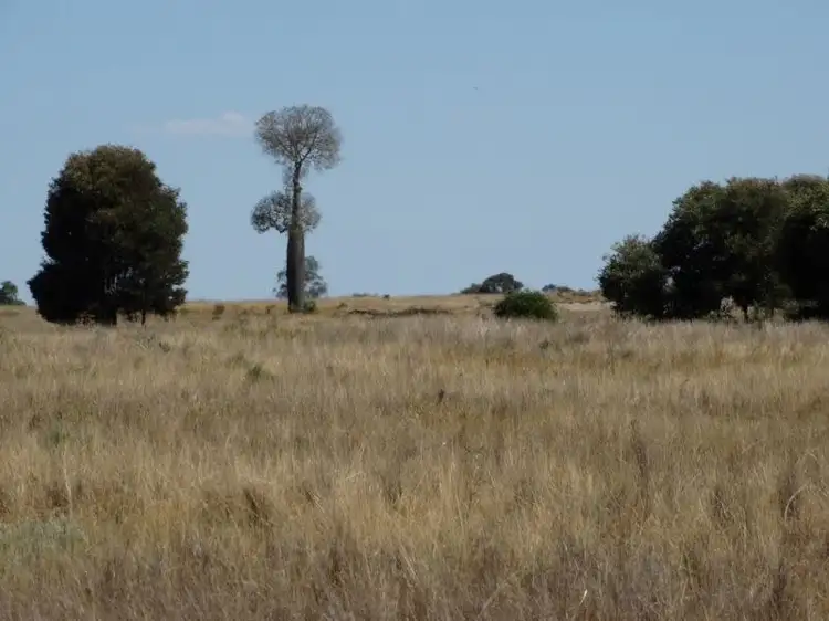 Third view of Homely rural property listing, 312 Tumba Downs Rd, Miles QLD 4415