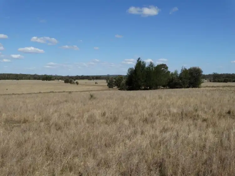 Fifth view of Homely rural property listing, 312 Tumba Downs Rd, Miles QLD 4415