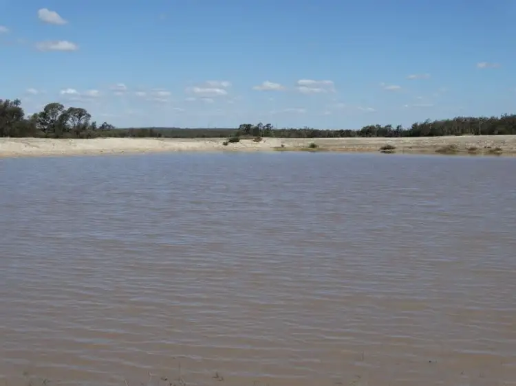 Seventh view of Homely rural property listing, 312 Tumba Downs Rd, Miles QLD 4415