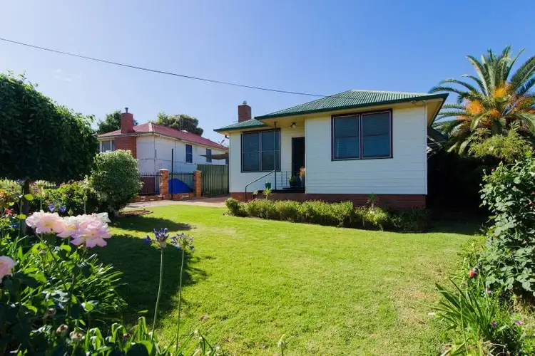 Main view of Homely house listing, 12 Margaret Avenue, Mount Austin NSW 2650