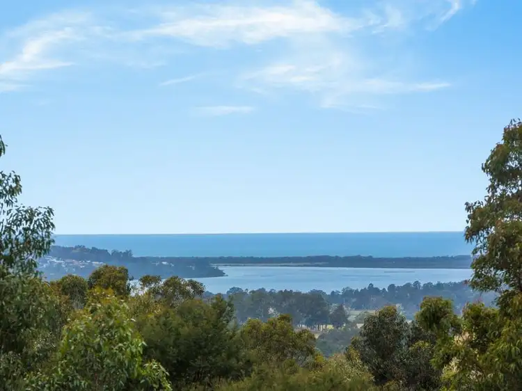 Second view of Homely house listing, 174 Forest Lane, Millingandi NSW 2549