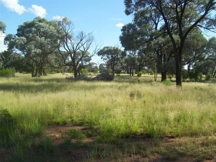 Main view of Homely rural property listing, - Myuna Station, Brewarrina NSW 2839