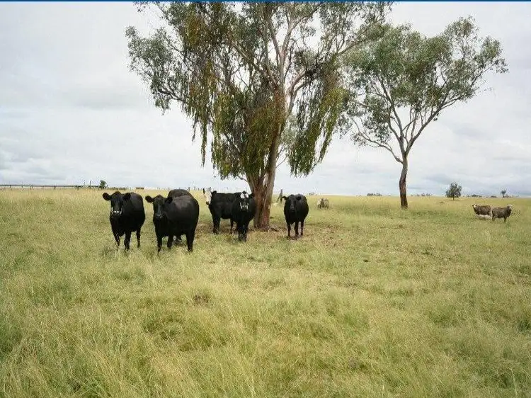 Third view of Homely rural property listing, Address available on request