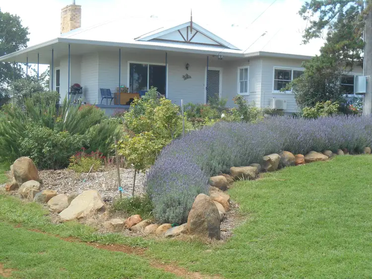 Main view of Homely rural property listing, 1050 Duri Dungowan Road, Timbumburi NSW 2340