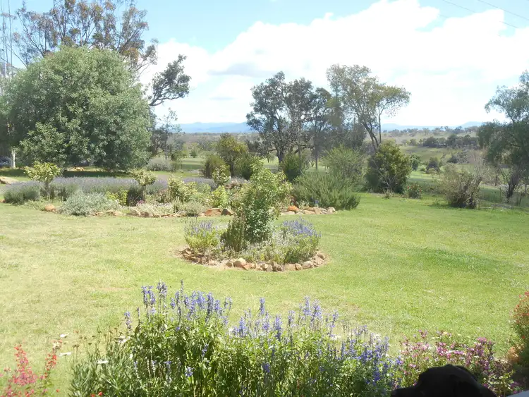 Fifth view of Homely rural property listing, 1050 Duri Dungowan Road, Timbumburi NSW 2340