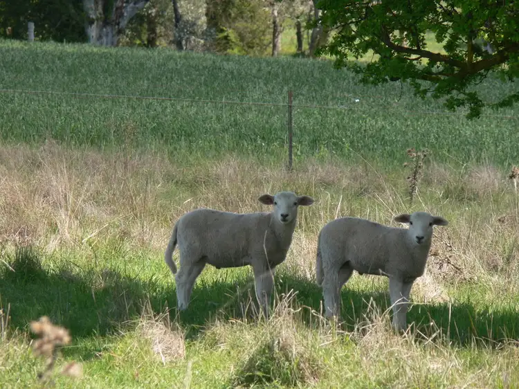 Sixth view of Homely land listing, 2 Hardwick Lane, Yass NSW 2582