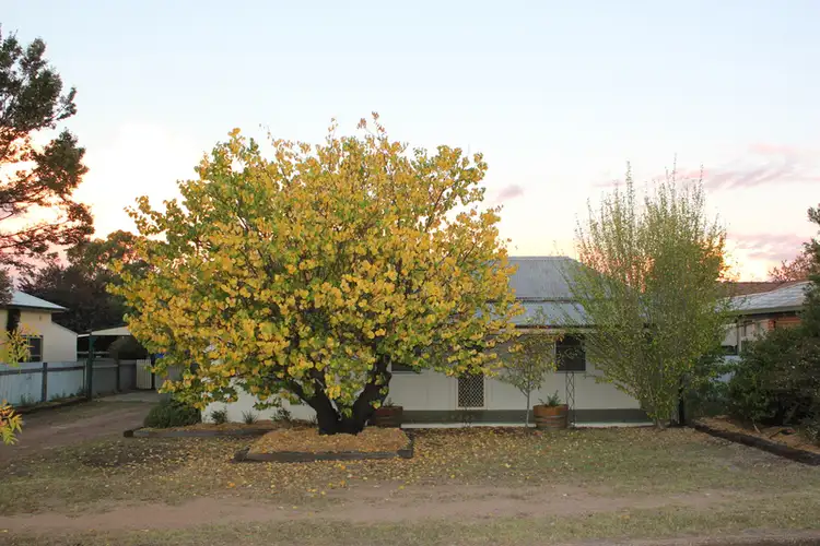 Main view of Homely house listing, 13 Cox Street, Mudgee NSW 2850
