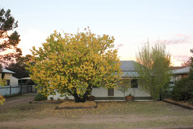 Main view of Homely house listing, 13 Cox Street, Mudgee NSW 2850