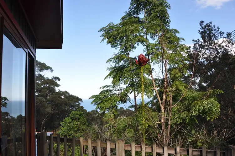 Fifth view of Homely rural property listing, 79 Buttenshaw Drive, Austinmer NSW 2515
