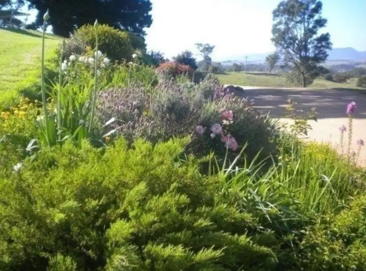 Sixth view of Homely rural property listing, 285 West Kameruka Road, Kameruka NSW 2550
