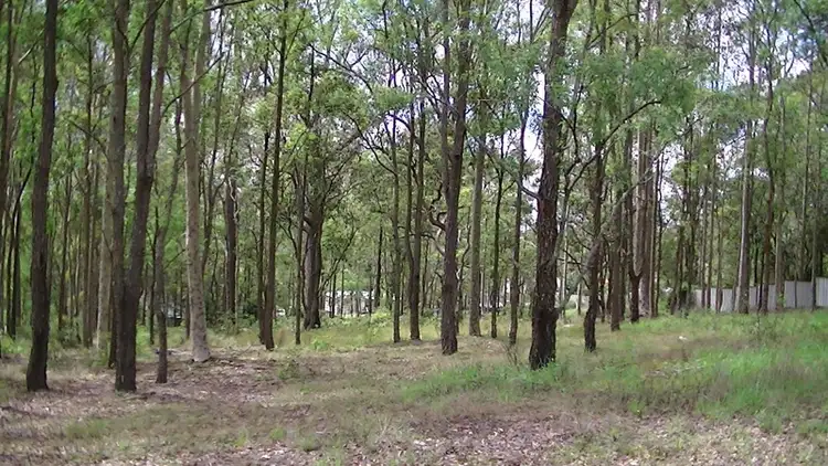 Second view of Homely land listing, 4 Cross Street, Seaham NSW 2324
