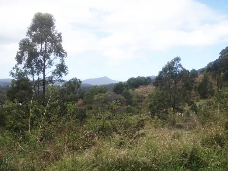 Main view of Homely land listing, Lot 1/226 Richards Rd, Newee Creek NSW 2447