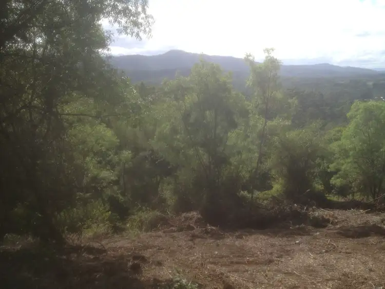 Second view of Homely land listing, Lot 1/226 Richards Rd, Newee Creek NSW 2447