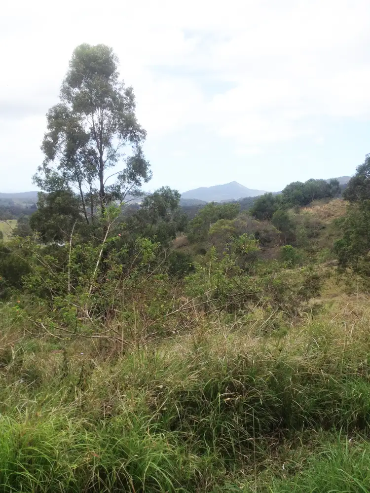 Third view of Homely land listing, Lot 1/226 Richards Rd, Newee Creek NSW 2447