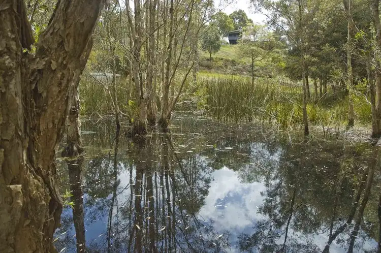 Second view of Homely rural property listing, 66b Fig Tree Hill Drive, Lennox Head NSW 2478