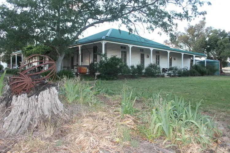 479 Berthong Road, Cootamundra NSW 2590