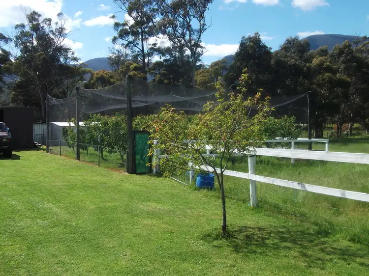 Third view of Homely rural property listing, 65 Lower Swamp Road, Lachlan TAS 7140