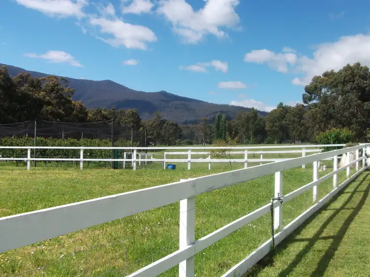Fifth view of Homely rural property listing, 65 Lower Swamp Road, Lachlan TAS 7140