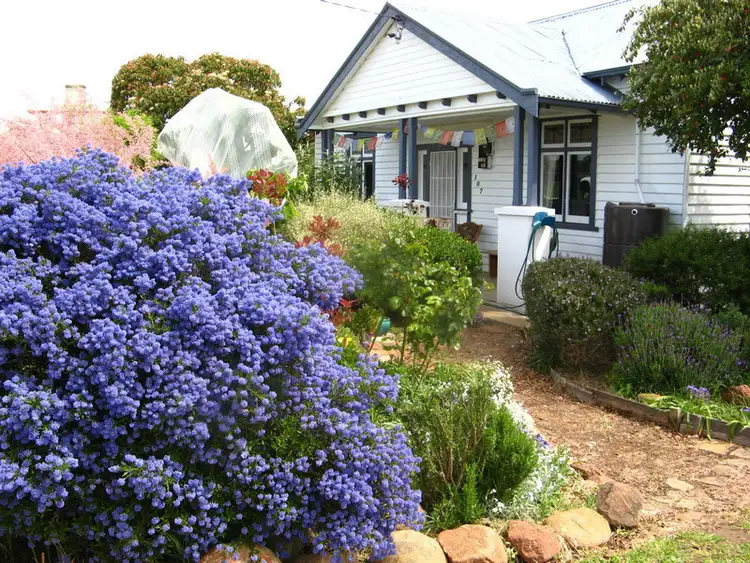 Second view of Homely house listing, 107 Main Rd, Tunbridge TAS 7120