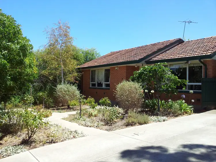 81 Elizabeth Road, Christie Downs SA 5164