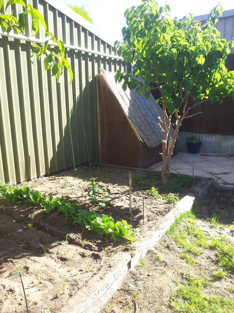 Third view of Homely house listing, 19 Colonel Light Drive, Lyndoch SA 5351