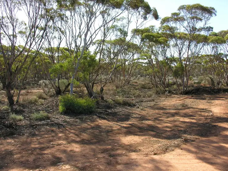 Fifth view of Homely rural property listing, Lot 3 May Road, Bower SA 5374
