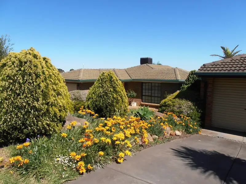 Main view of Homely house listing, 13 Clover Crt, Wynn Vale SA 5127