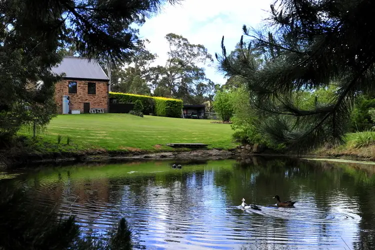Main view of Homely rural property listing, 1025 Elephant Pass Rd, Gray TAS 7215