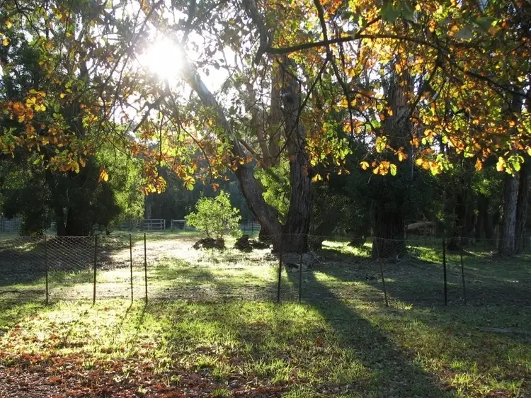570 Sinclair Settlement Road, Drumborg VIC 3304