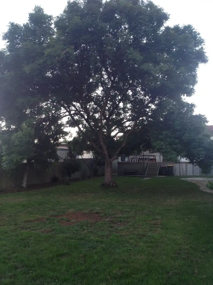 Fifth view of Homely house listing, 4 Powlett St, Maddingley VIC 3340
