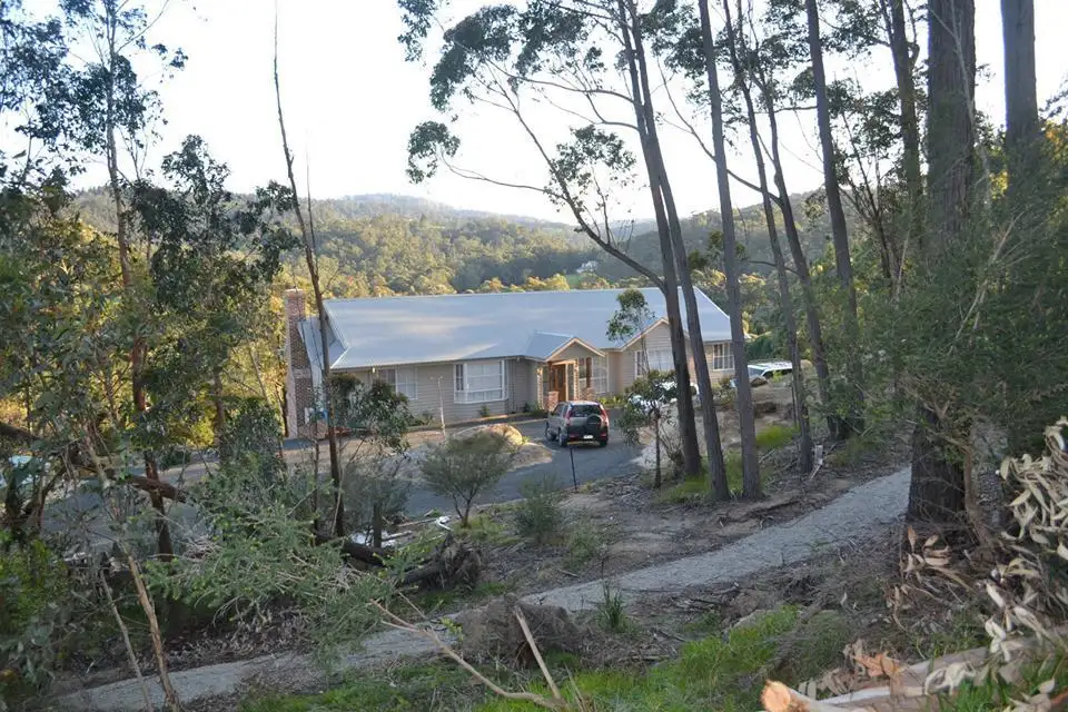 Main view of Homely rural property listing, 733 Jacksons Track, Jindivick VIC 3818
