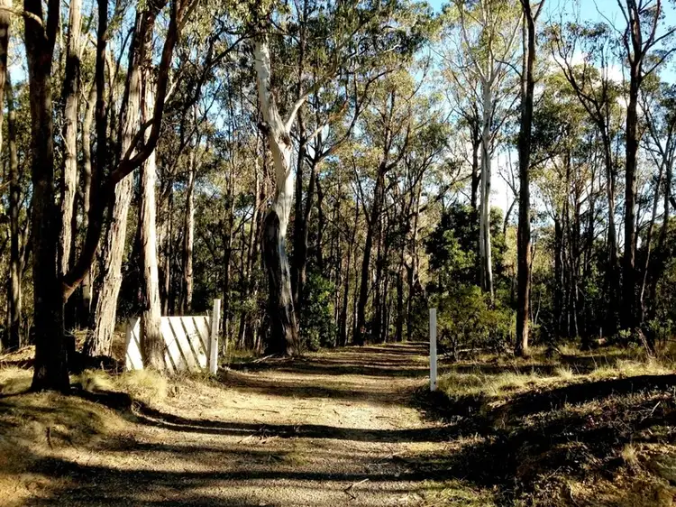 Main view of Homely land listing, Lot 149 Dales Creek Avenue, Dales Creek VIC 3341