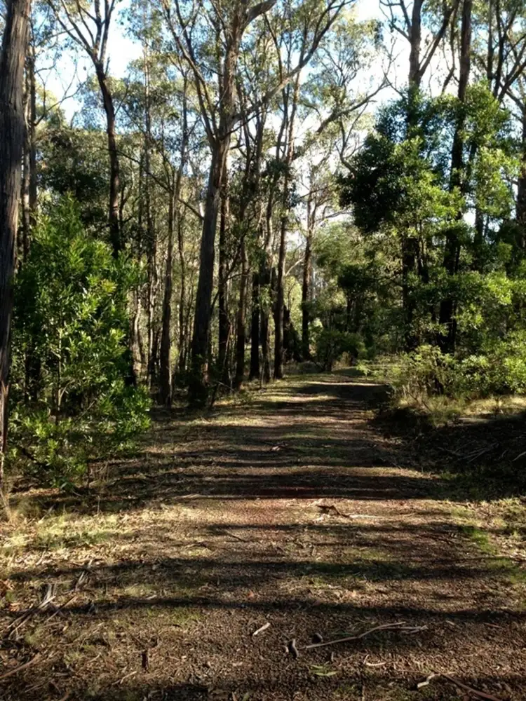 Second view of Homely land listing, Lot 149 Dales Creek Avenue, Dales Creek VIC 3341