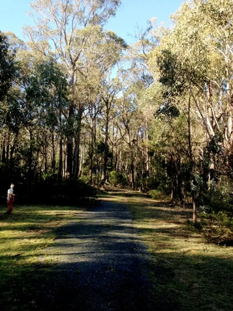 Third view of Homely land listing, Lot 149 Dales Creek Avenue, Dales Creek VIC 3341