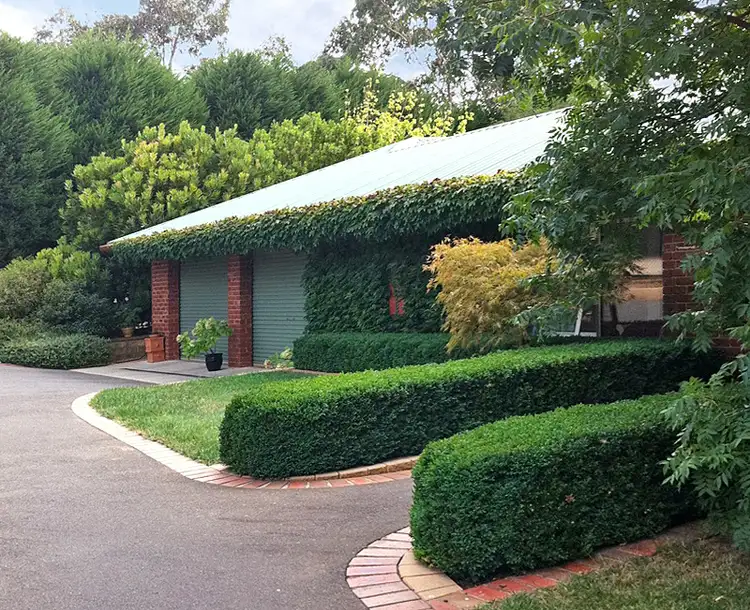 17 Bindley Court, Kilmore VIC 3764