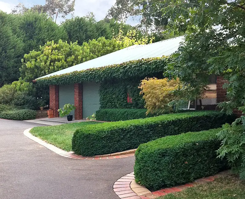 Main view of Homely house listing, 17 Bindley Court, Kilmore VIC 3764