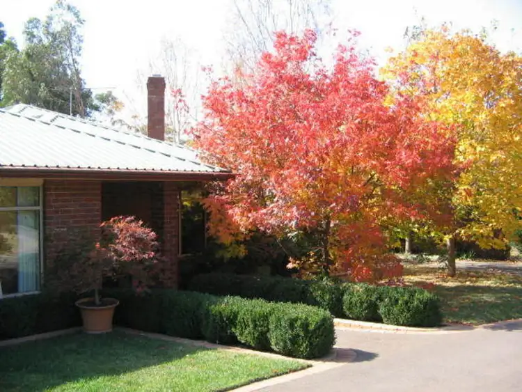 Second view of Homely house listing, 17 Bindley Court, Kilmore VIC 3764