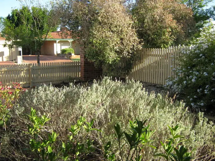 Third view of Homely house listing, 11 Solanum Court, Ellenbrook WA 6069